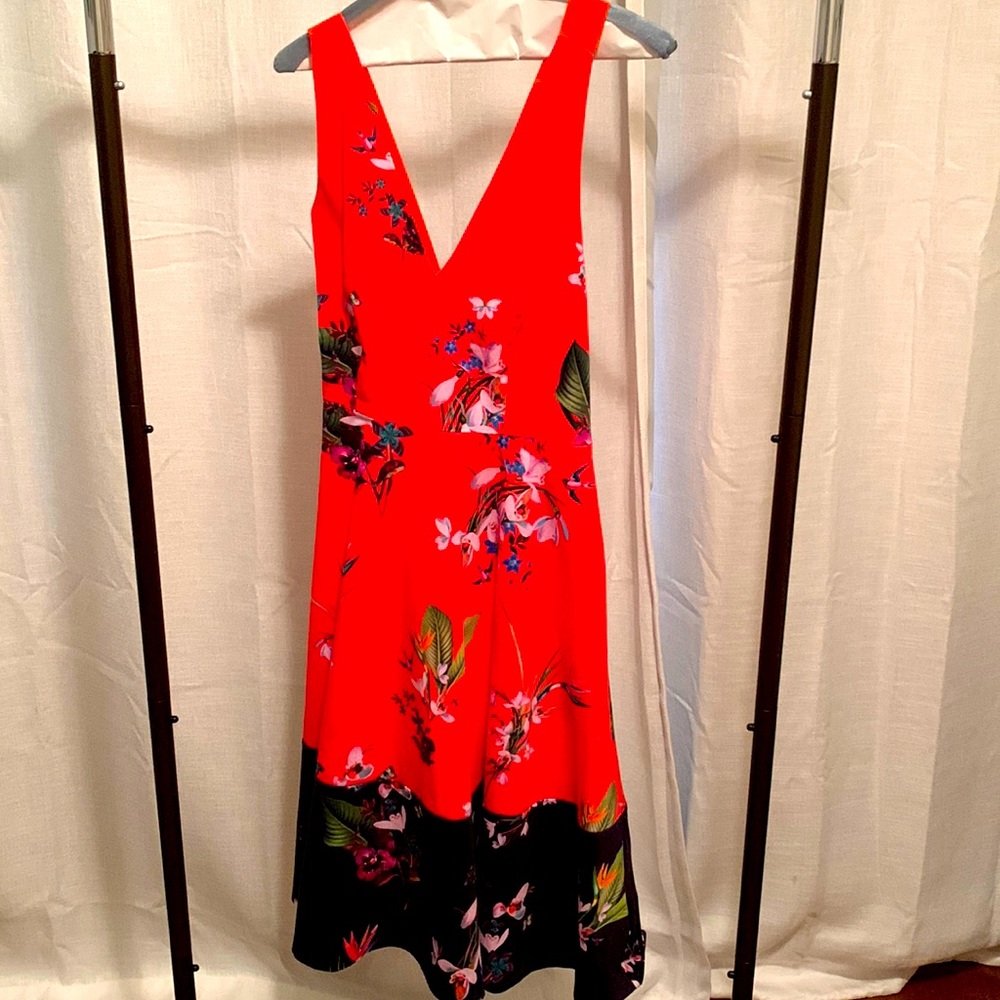 Ted Baker dress. Size 2 (fits size 4).  Worn twice. Excellent condition